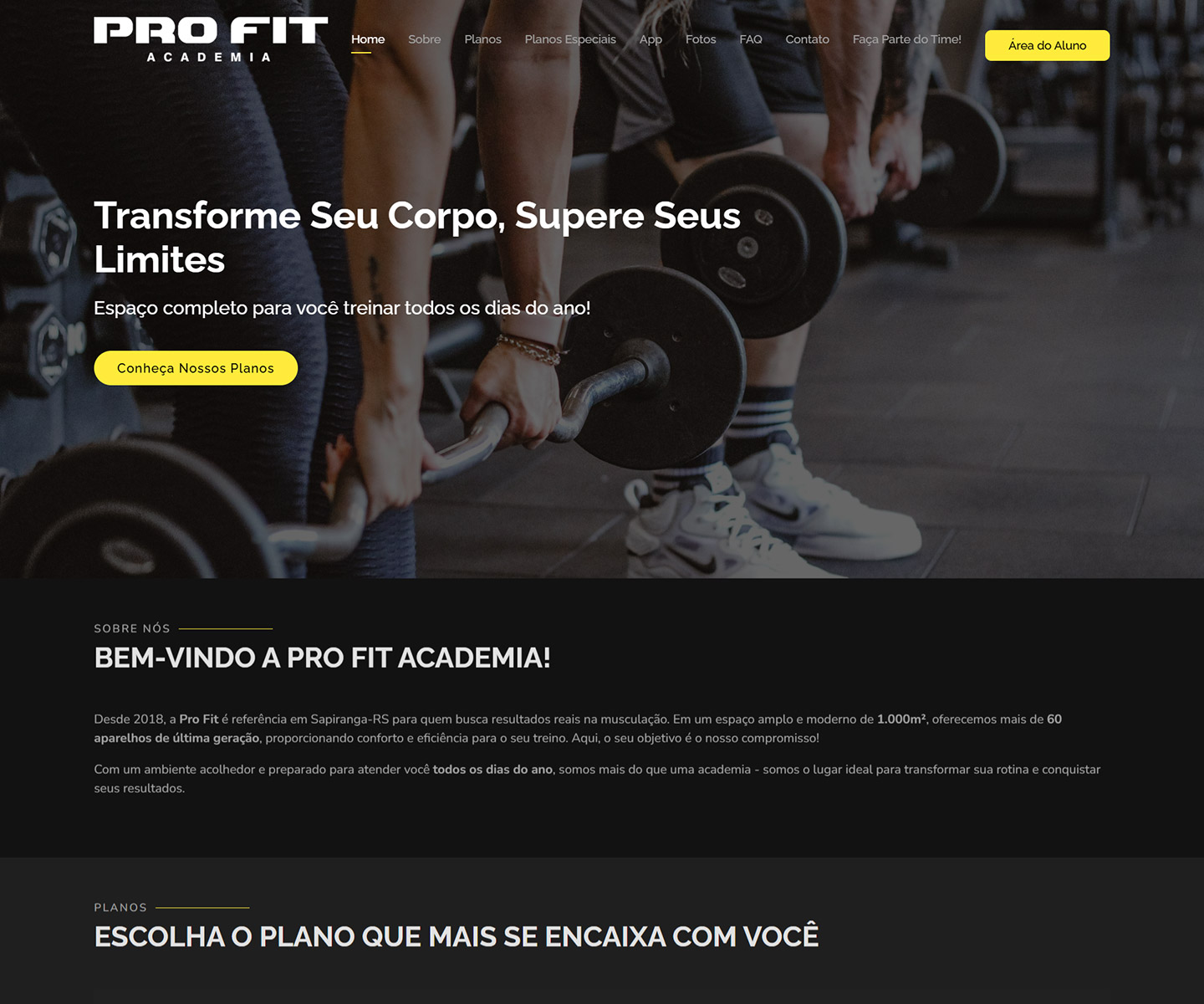 Pro 365 Fitness